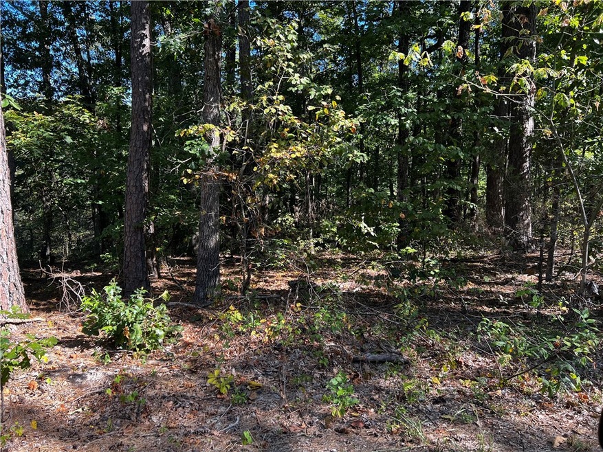 unlisted-address, Bella Vista, AR 72715 - photo 1