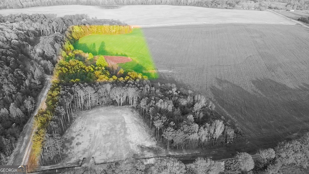 TRACT 6 Ramah Church Rd unit 6, Barnesville, GA 30204 - photo 1