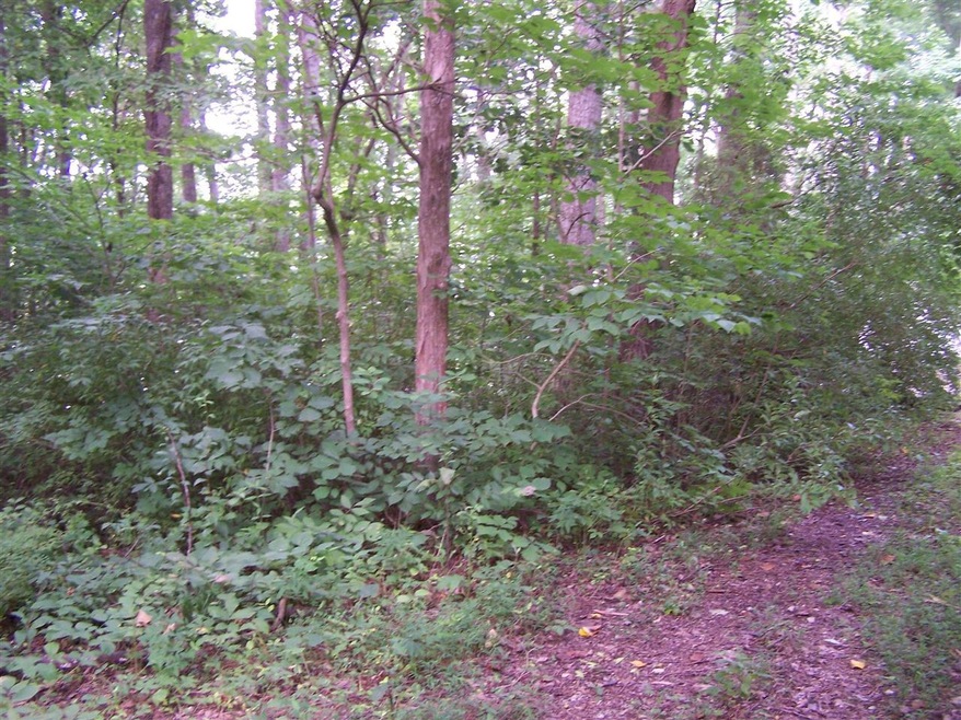 925 Catfish Ln, Scottsville, KY 42135 - photo 1