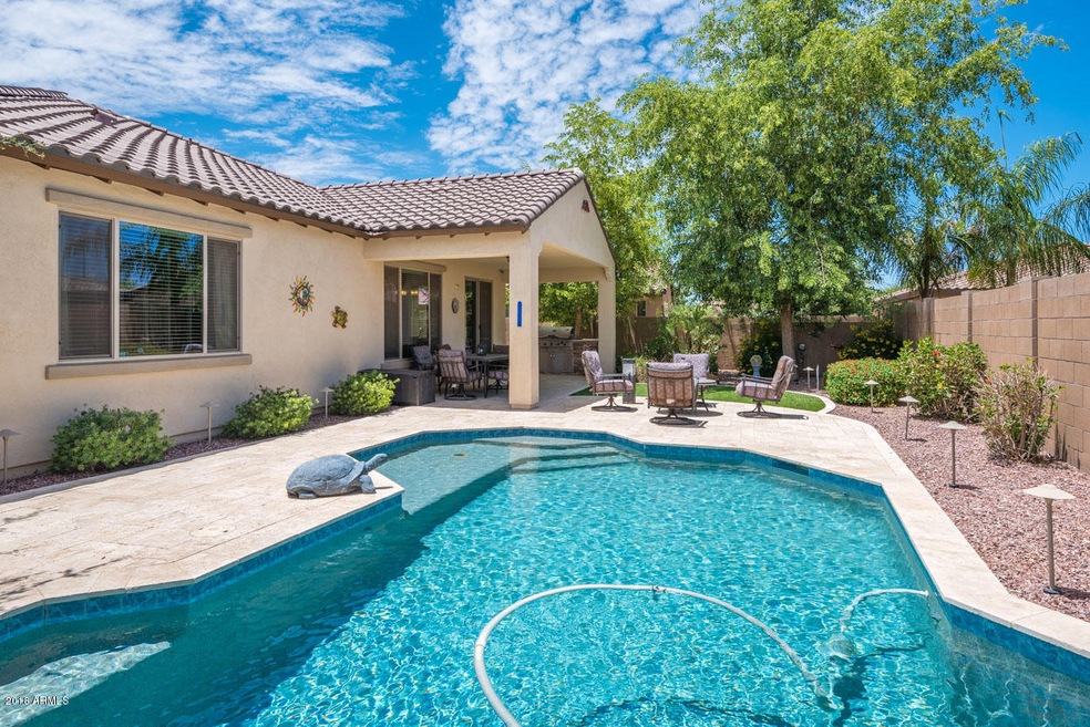 Entertainer's Backyard!