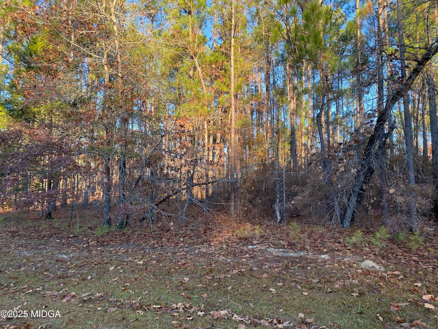 0 Oak Ridge Dr, Butler, GA 31006 - photo 1