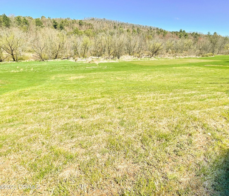 0 Lot E & F Pearl St unit LOT E 20-91427, Berwick, PA 18603 - photo 1