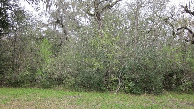 0 Cr 432, Brazoria, TX 77422 - photo 1