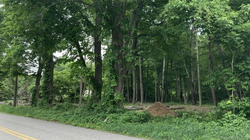 1 Wells Woods Rd, Columbia, CT 06237 - photo 1