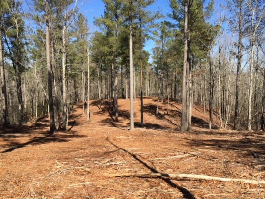 View looking N/NW at homesite from SE corner of Lo