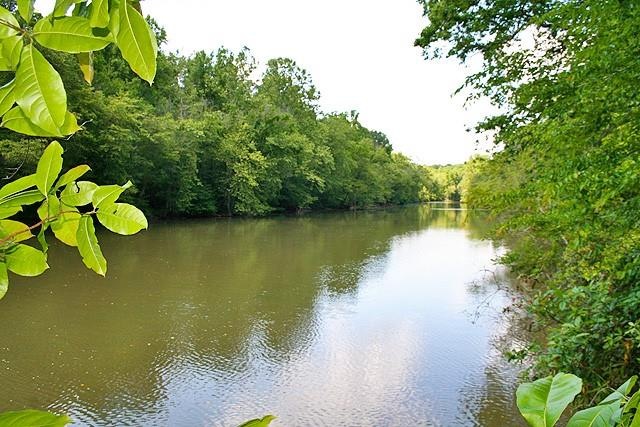 Upper Lake Lanier/Lower Chestatee River
