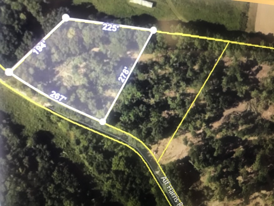 1 Alf Harris Rd, Prospect, TN 38477 - photo 1