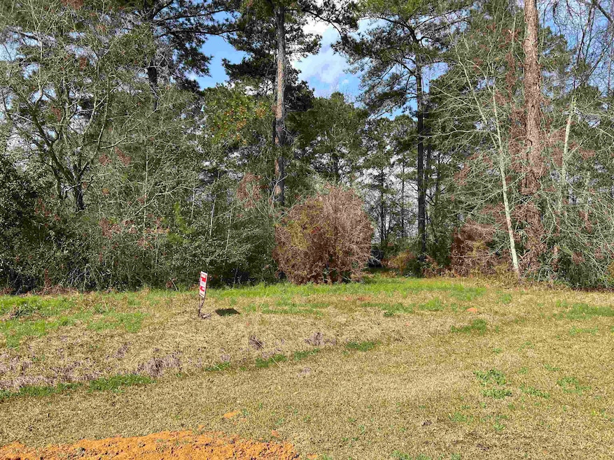 135 Dove Ct, Havana, FL 32333 - photo 1