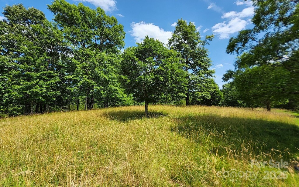 0 Mountain Pkwy unit 52/53/54 CAR4107625, Mill Spring, NC 28756 - photo 1