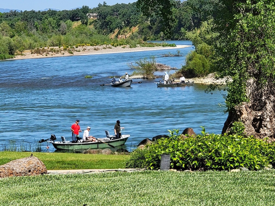Fishing on the River