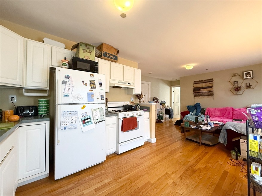 33 Roberts Rd unit 2L, Cambridge, MA 02138 - photo 1