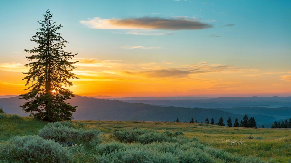 0 Fishhole Creek Rd unit 220200007, Bly, OR 97622 - photo 1