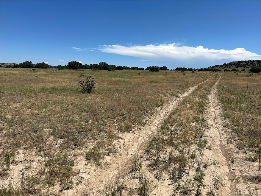 Lot 17 Longhorn Ranch unit 17, Model, CO 81059 - photo 1