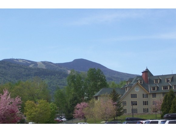 28 Packard Rd unit 531, Waterville Valley, NH 03215 - photo 1