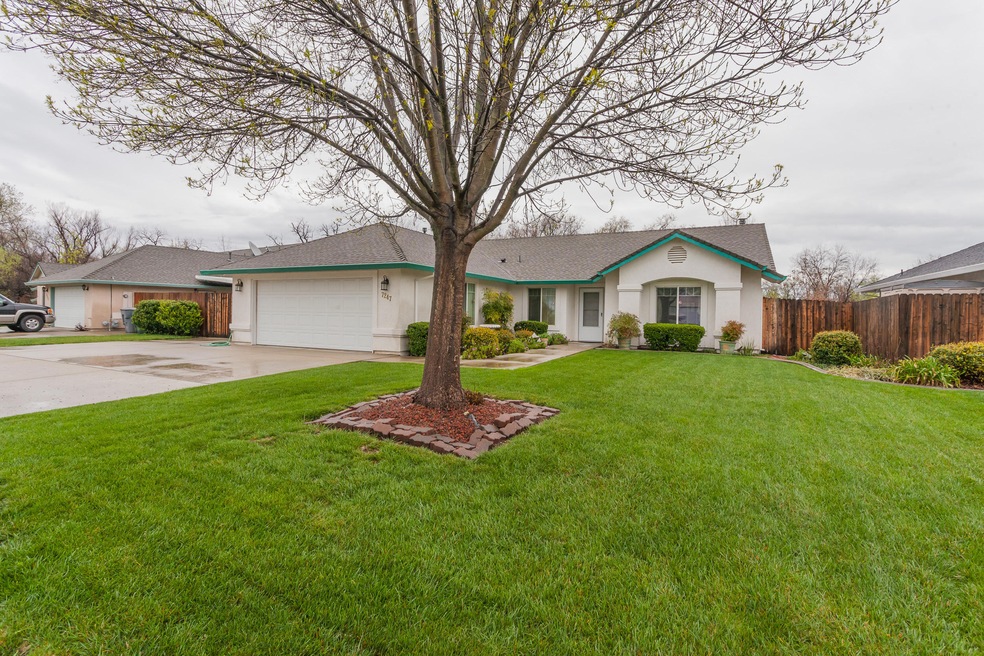 Large Front Yard