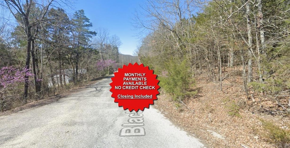 Lot 10 Blackfoot Ln, Holiday Island, AR 72631 - photo 1