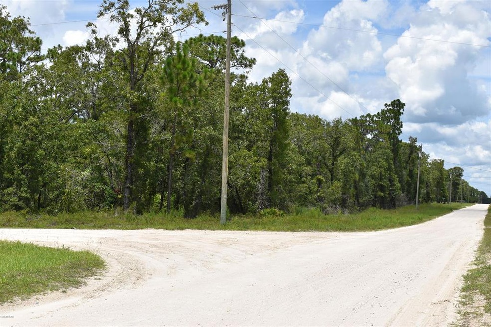 TBD Red Oak Rd unit Lot 193, Perry, FL 32348 - photo 1