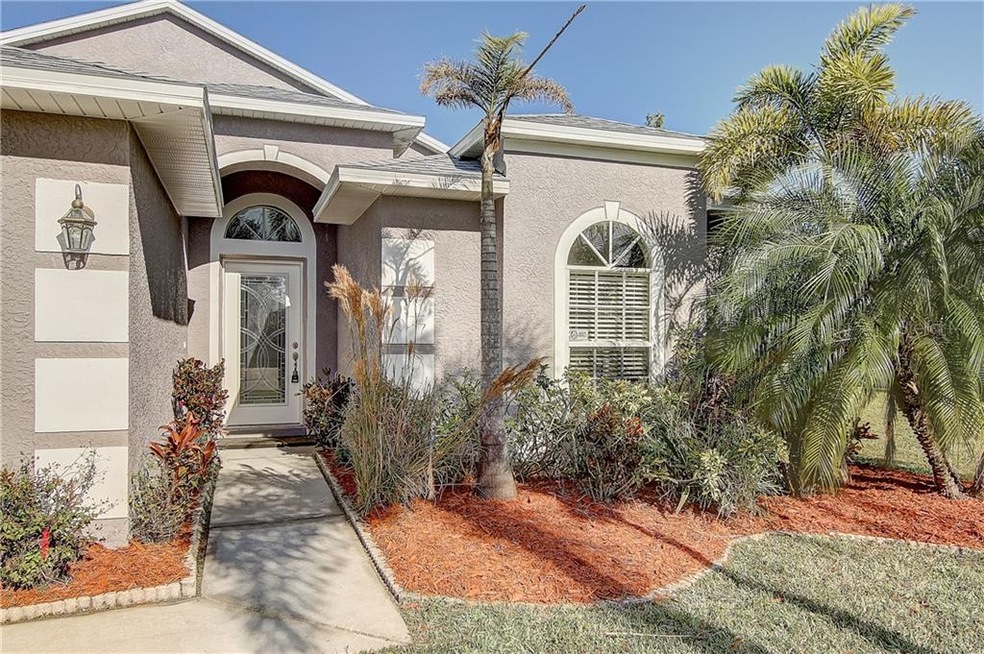 531 Cypress View Dr, Oldsmar, FL 34677 - photo 1