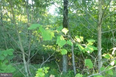 1112 Off I L Pugh Rd, Bloomery, WV 26817 - photo 1