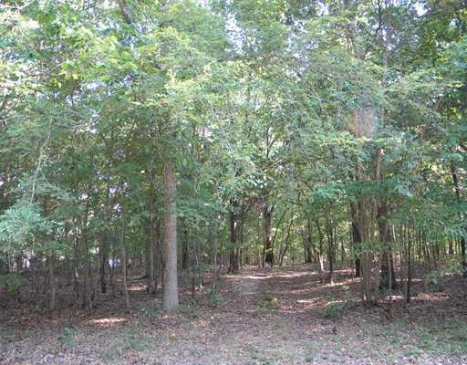 Land. Level and Partly wooded on a quiet, paved road. Close to town with the privacy and room you crave.