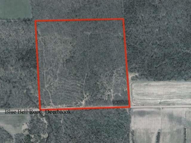 ON Blue Bell Rd unit 200463, Deerbrook, WI 54424 - photo 1