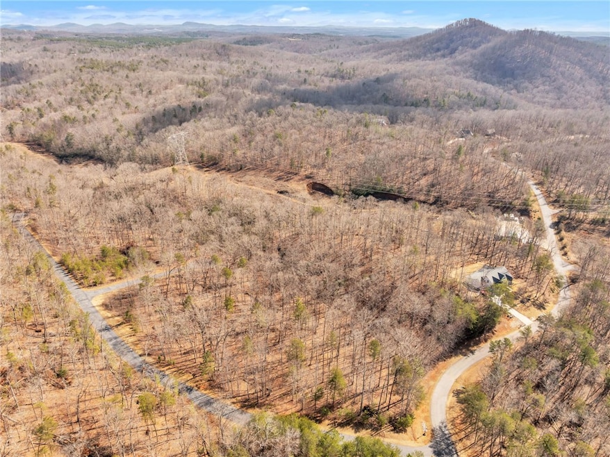 110 Gabriel Way, Pickens, SC 29671 - photo 1