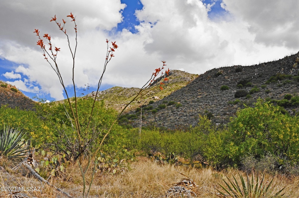 surrounding hills