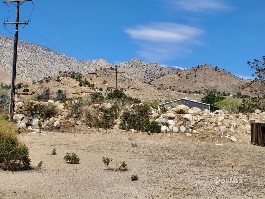 Looking North on the lot