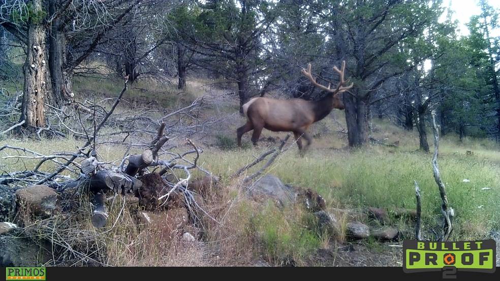 0 Shop Gulch unit 220111419, Mount Vernon, OR 97865 - photo 1