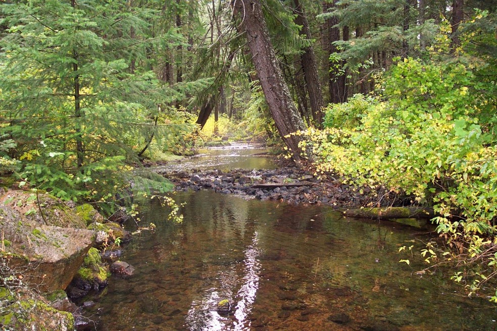 Creek Frontage
