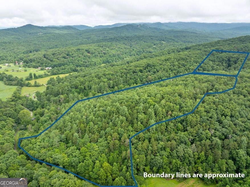 467 Gilliam Trail, Mineral Bluff, GA 30559 - photo 1