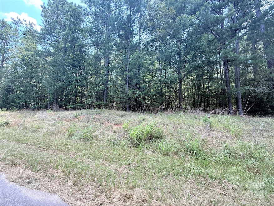 4.7 Acres Blade Run Rd, Edgemoor, SC 29712 - photo 1