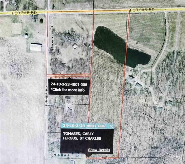 00 Fergus Rd, Saint Charles, MI 48655 - photo 1