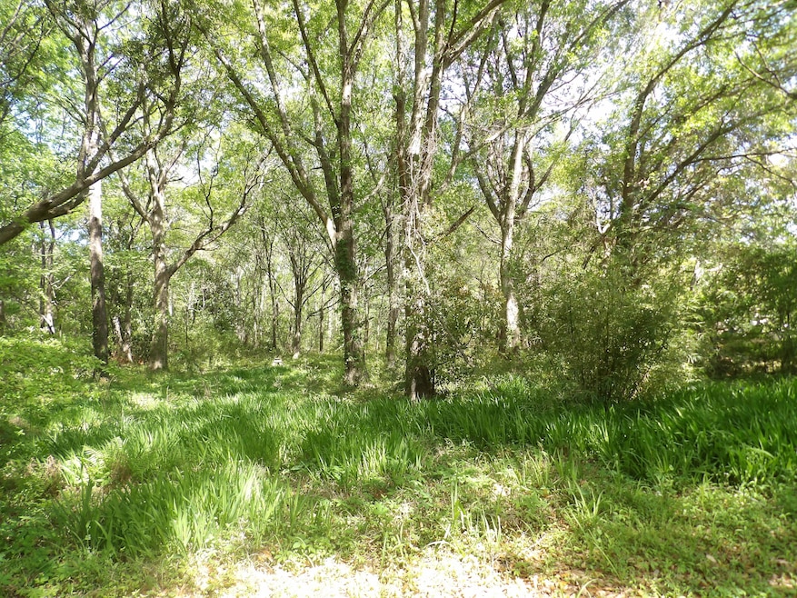 1558 Scott Hill Rd, Charleston, SC 29412 - photo 1