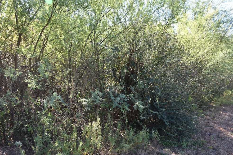 3600 Hawks St, Bryan, TX 77808 - photo 1