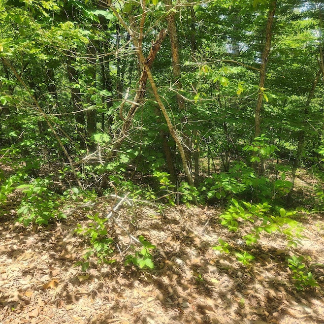 L-27, B-15 Goti Dr, Cherokee Village, AR 72529 - photo 1