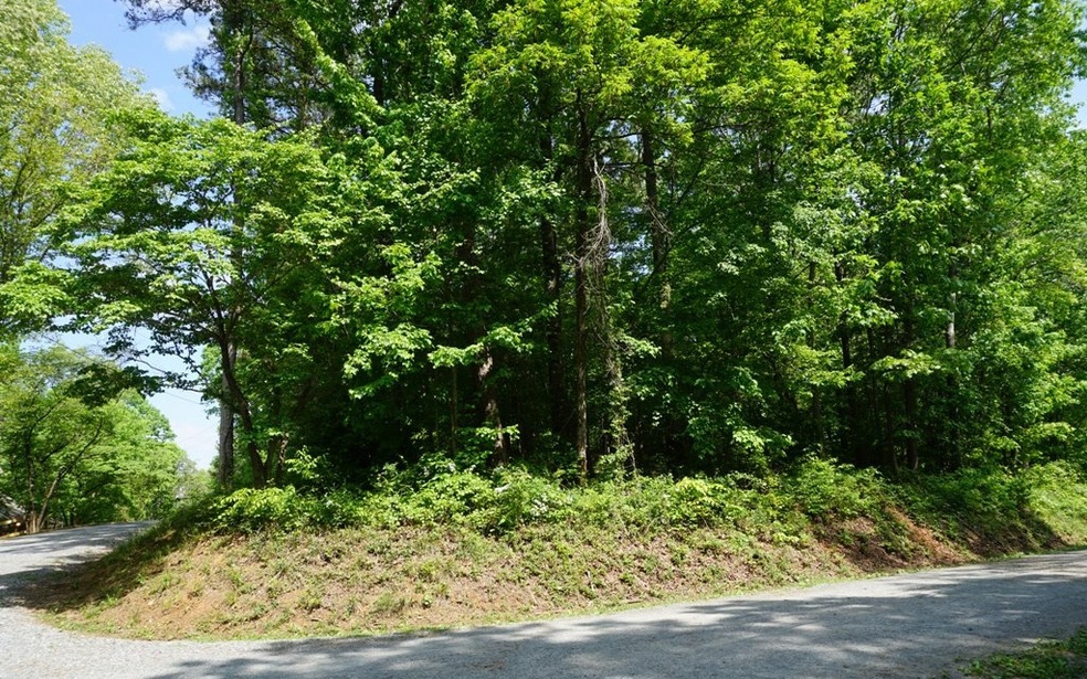 2 LTS Beaver Lake L275 276, Ellijay, GA 30540 - photo 1