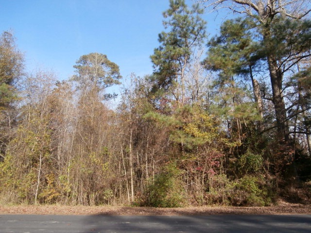 Primary Photo