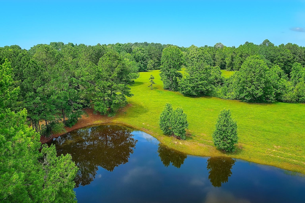 1047 County Road 4452, Bivins, TX 75555 - photo 1