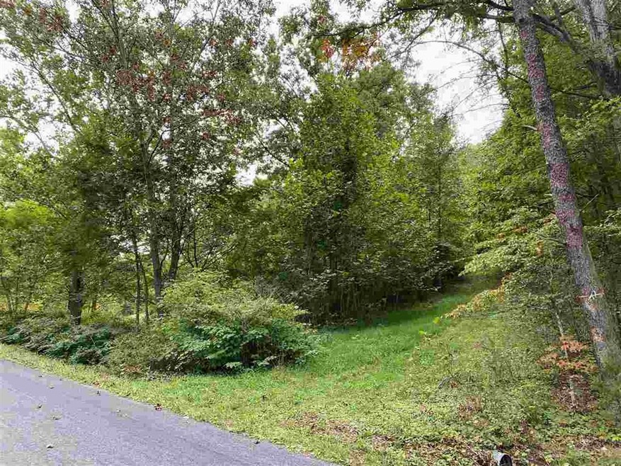 0 Hollow Run Rd, Luray, VA 22835 - photo 1