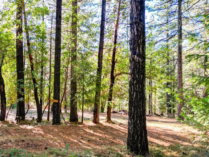 16094 N Countrywood Ln