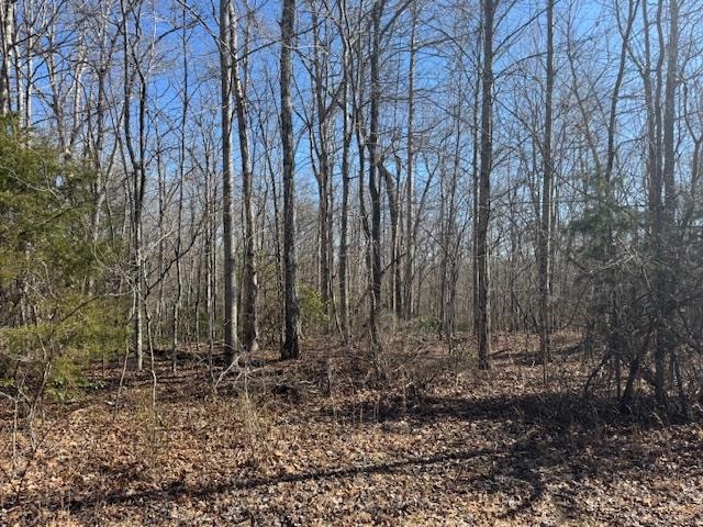 Sold $34,000 • Co-Listing Agent