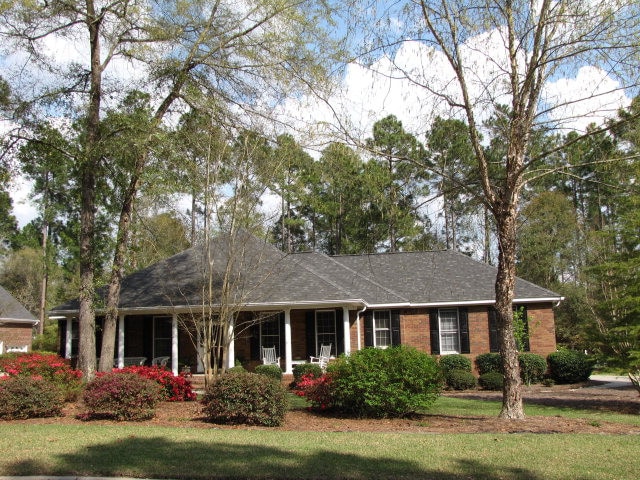 Main View