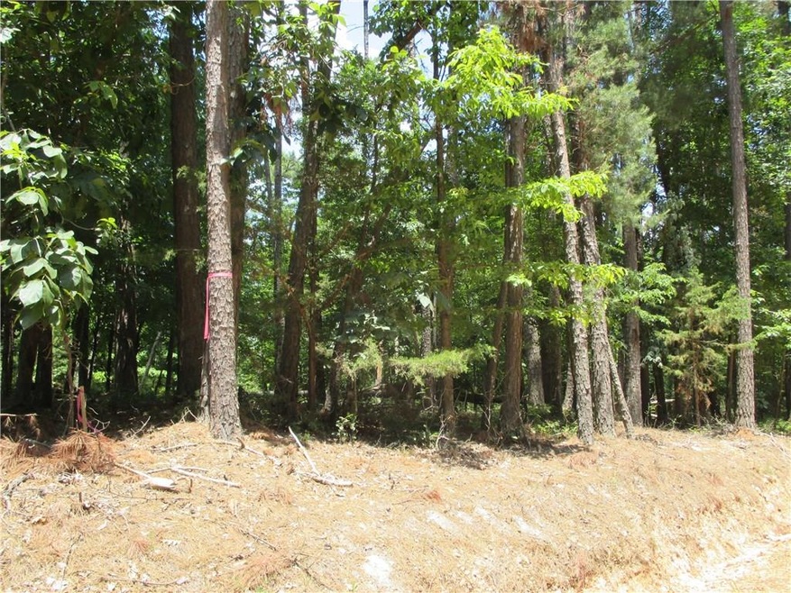 5 AC Devils Gap Rd, Rogers, AR 72756 - photo 1