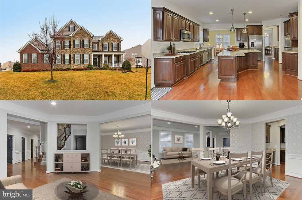 21492 Great Sky Place, Broadlands, VA 20148 - photo 1