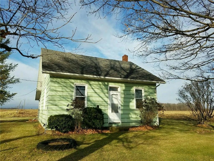 Primary Photo