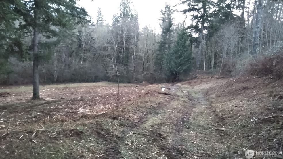 6123 139th Ln SW, Rochester, WA 98579 - photo 1