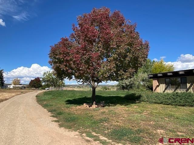 24502 Road N, Cortez, CO 81321 - photo 1