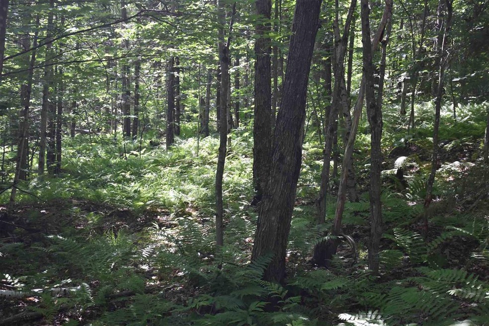 0 Messier Hill Bull Run Horner & Old Mail Route Rd unit 4800974, Roxbury, VT 05669 - photo 1
