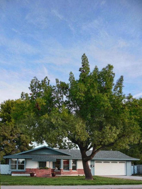 MATURE  ESTABLISHED TREES